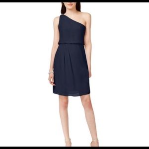 Adrianna Papell One Shoulder Chiffon Dress